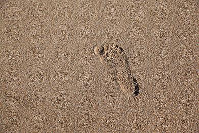 PS Plus八月移除游戏名单公布：《巫师3》等